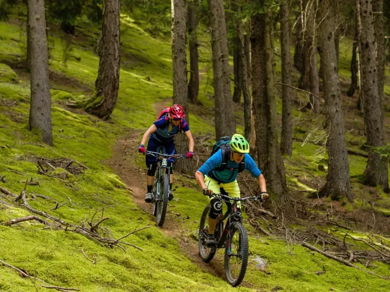 Two mountain bikers on a forest trail