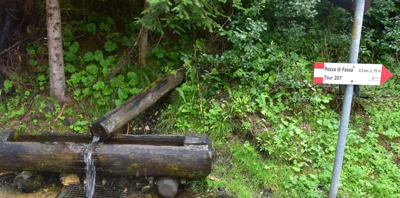 Wooden fountain and a trail sign in the woods